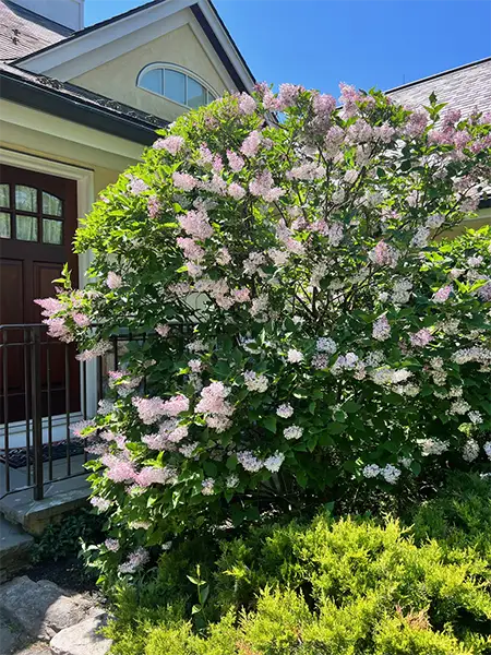 Beautiful music at Purdue