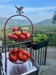 The Summer Harvest Part 2 -1