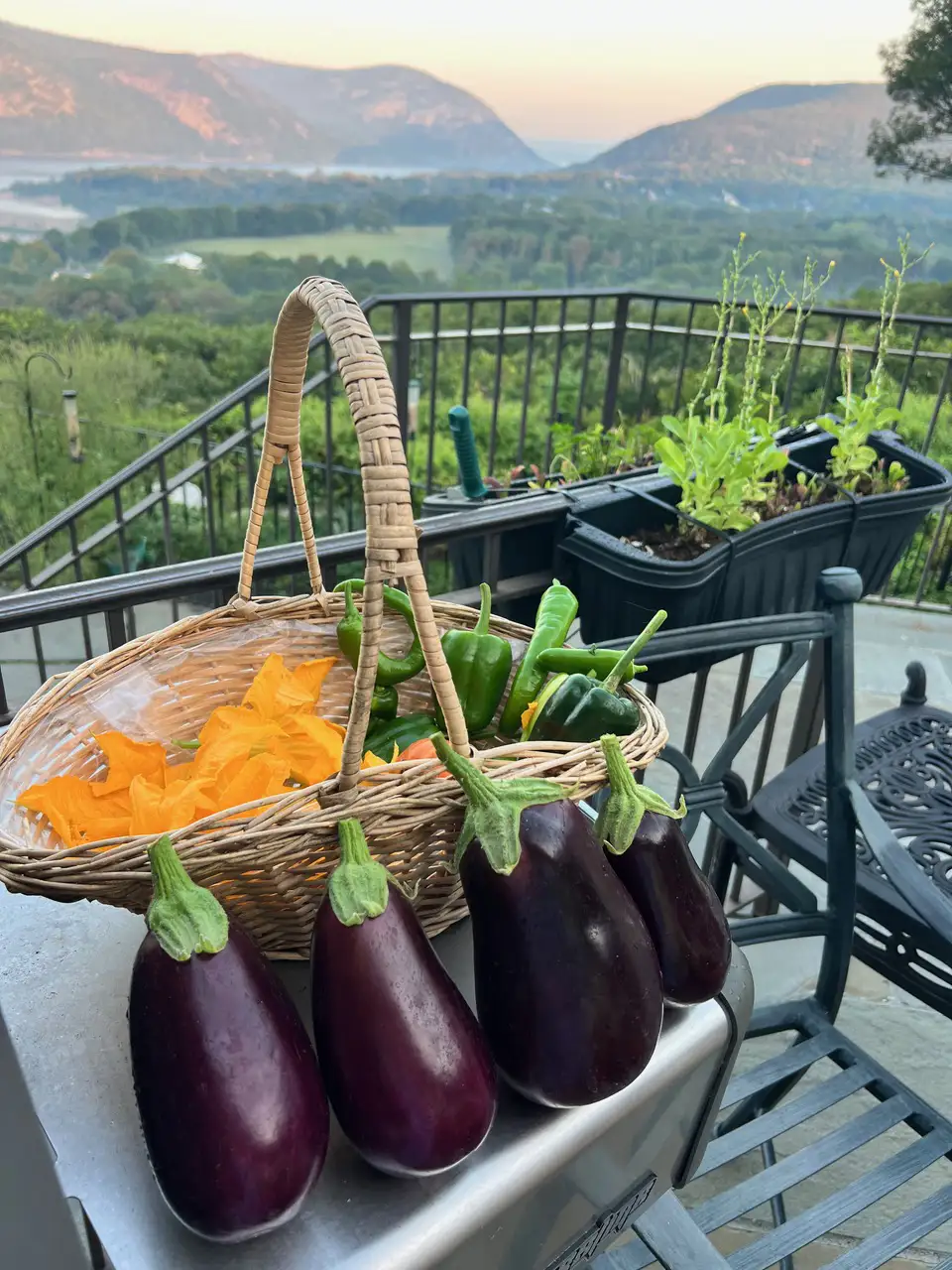 The final harvest 9-11-23