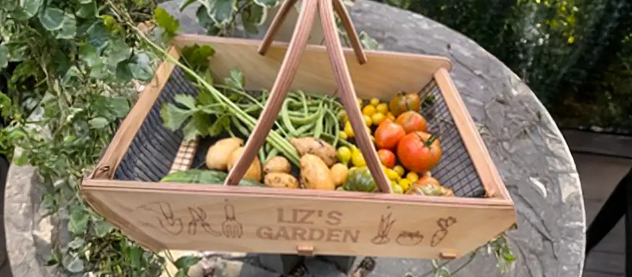 Hudson Valley Summers Basket of vegetables