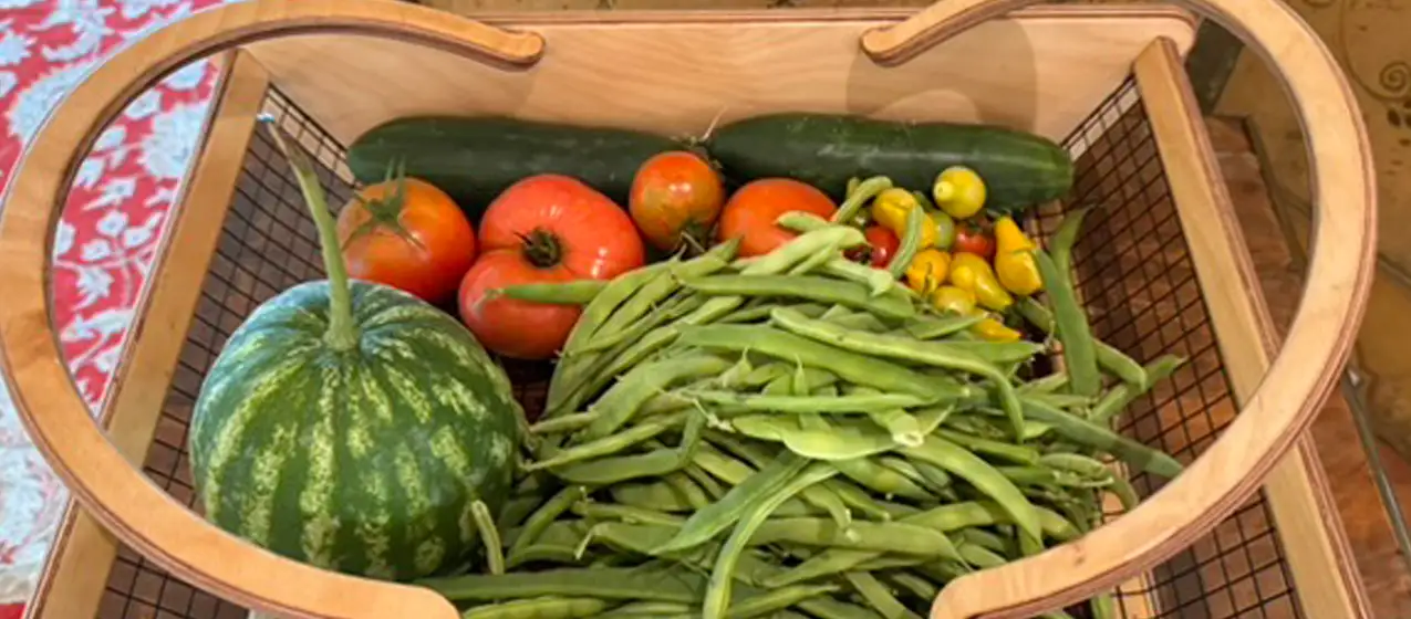 The harvest continues! The harvest continues!